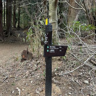 雨ケ峠まで戻りました
