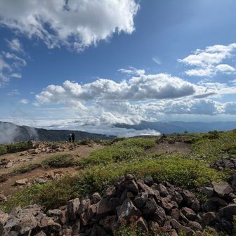 太平洋側は雲の下