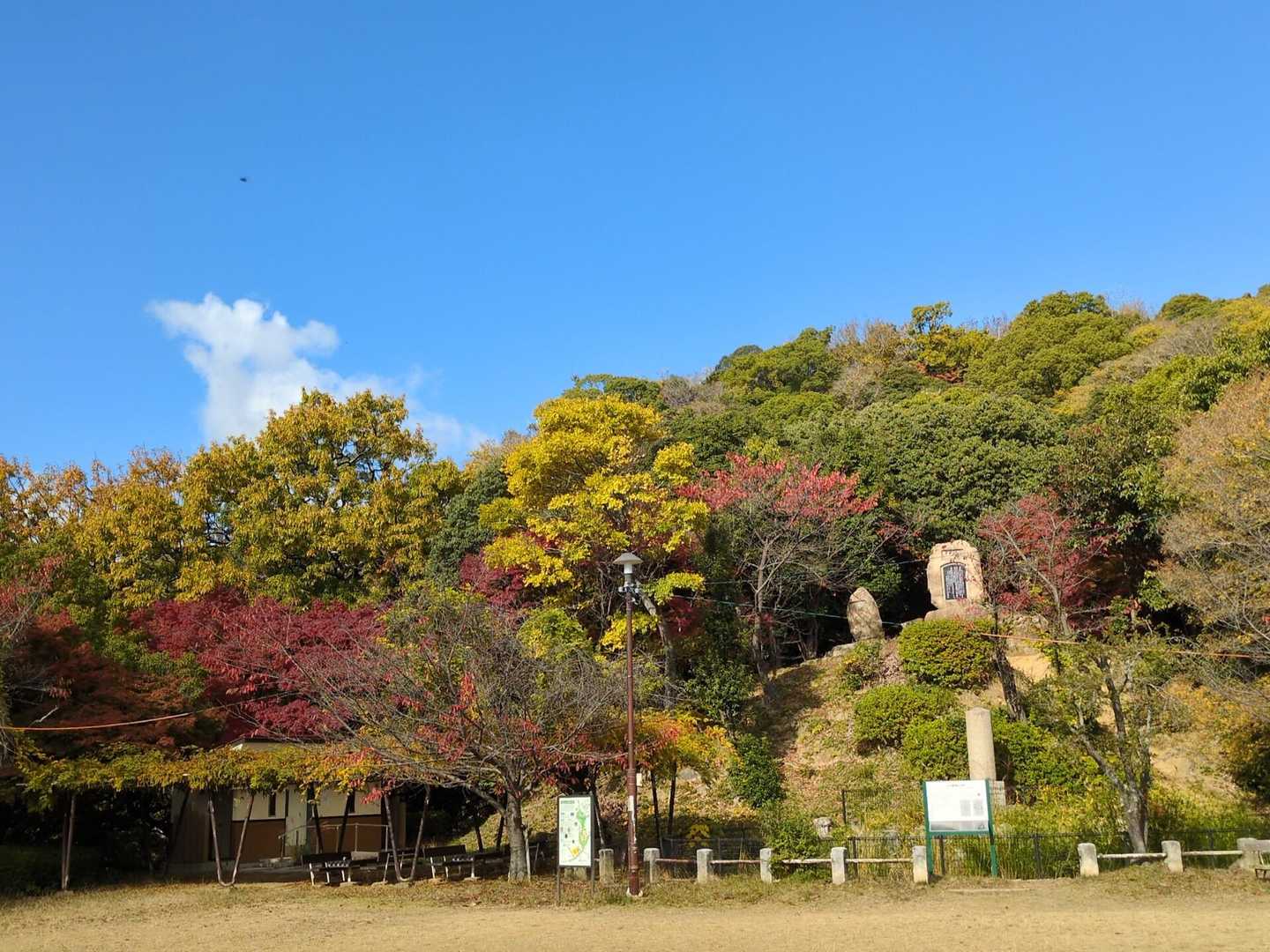 金星台から✨️