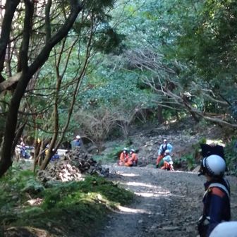 訓練です