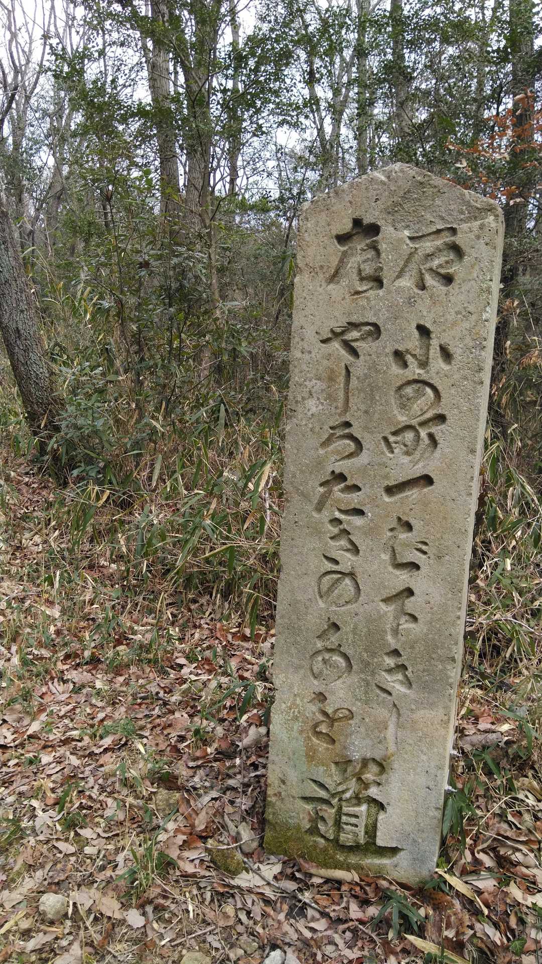 昔の人も歩いていた道みたい⁉️