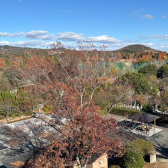 日の丸展望台からの眺め