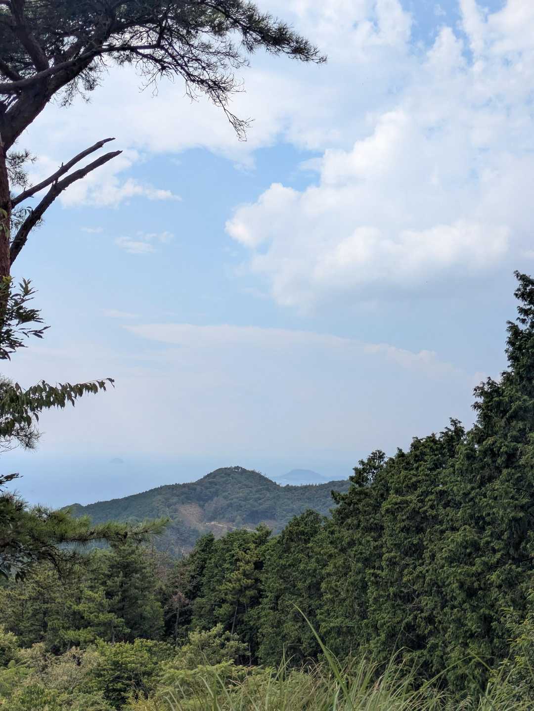 唐谷峠-金見山 往復コースの写真