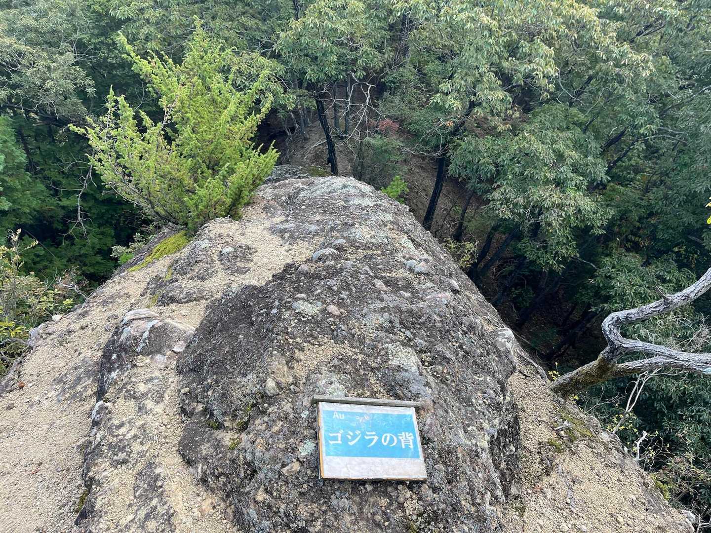 明神山-西の丸 周回コースの写真