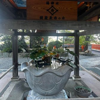 延命できたかな？