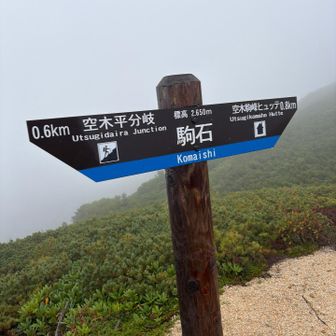 なるほど駒石。