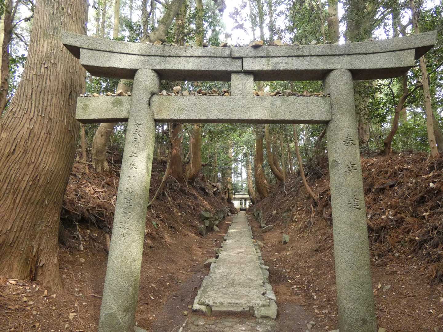こちらが入り口⛩️となります🙂‍↕️

あ、山頂標識ってあったのかな？？
探すの忘れてた🥹