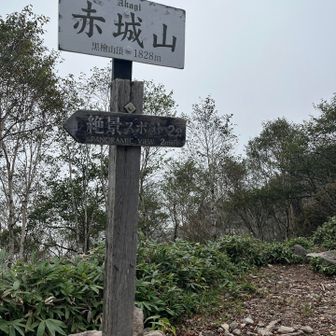 たっぷり休憩して、赤城山に戻り、駒ヶ岳を目指します。