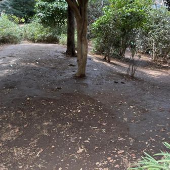 お次は摺鉢山
この辺ウゴウゴ
そして殿回収に行く

やたら動かれて
見つけるの大変だから
回収🤣