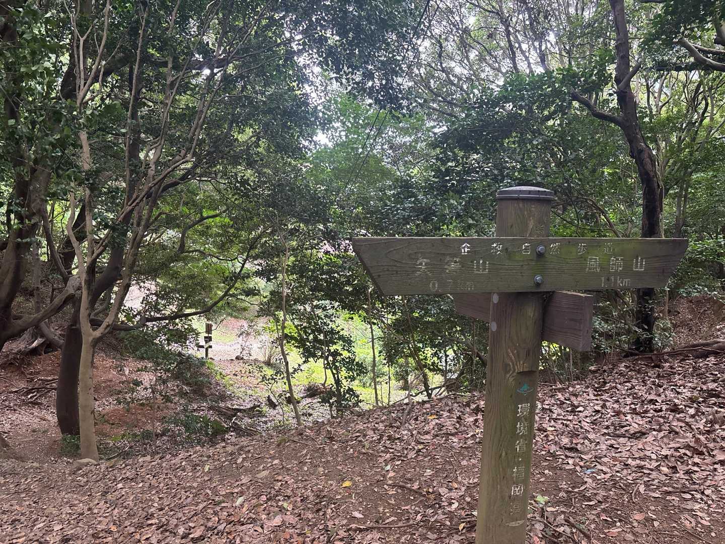 木々に覆われている場所を歩く分には雨風が然程気にならないため、気を取り直して風師山へ向かうことに。