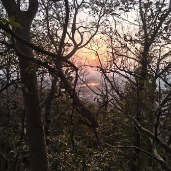 日本の夜明けぜよPart 2