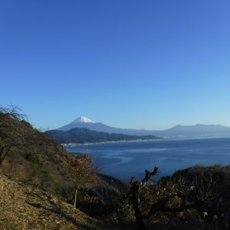 展望台から富士山と愛鷹山