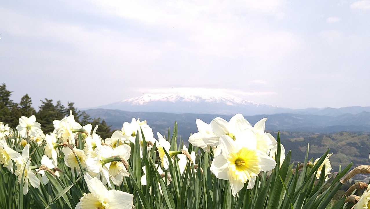 鳥海山