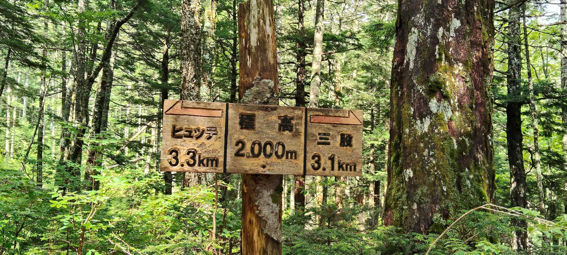 目安として中間地点