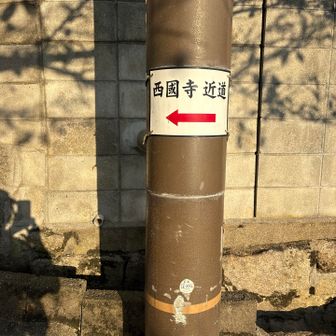 西国寺近道👈