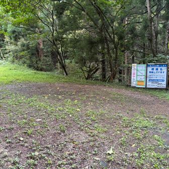 駐車場マークの場所はこんな感じ😗