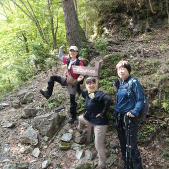 １時間半かけて、やっとこさ七面山登山口とーちゃく👣
喜んで登ってしまって「あれ？逆周りやったやん💦」途中で気づく😭ガーーン
午後から曇予報なので、目的のアケボノ平に先に行きたいのだーー
仕方なく、戻る😔
