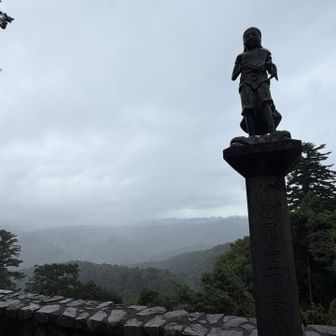 雨が降ってきました