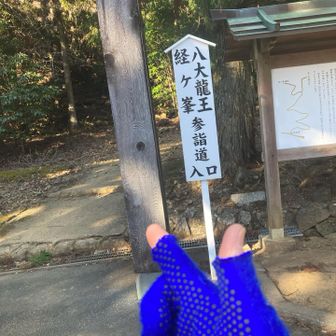 ここから山道になります