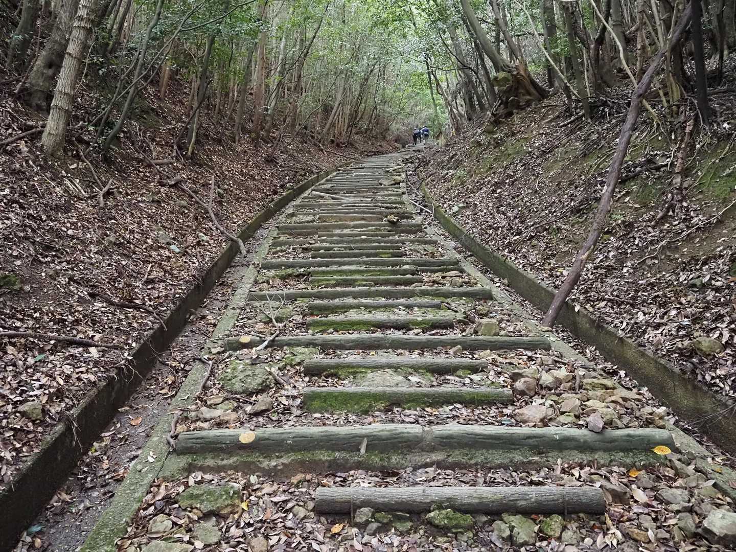 勝尾寺を後に登って箕面萱野駅に向かって下山へ

この後悲劇が…
下りの岩場で滑って宙に浮いて草むらへ顔面ダイブ、岩場へダイブじゃ無くて良かった〜😙
眼鏡は大破したけど腕の擦り傷だけですんで良かった🥳