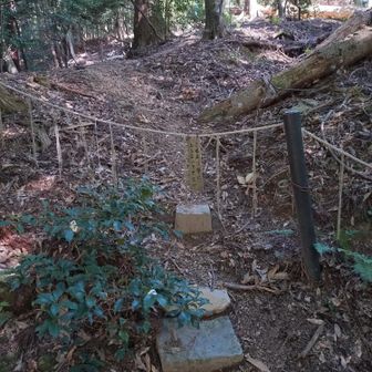 鞍馬山三角点への尾根稜線のようですが通行禁止
