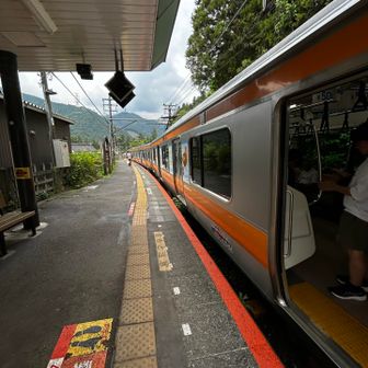 軍畑駅に着くと、丁度青梅行き🚃が来たので飛び乗りました
そろそろ高い山行きたいな😆