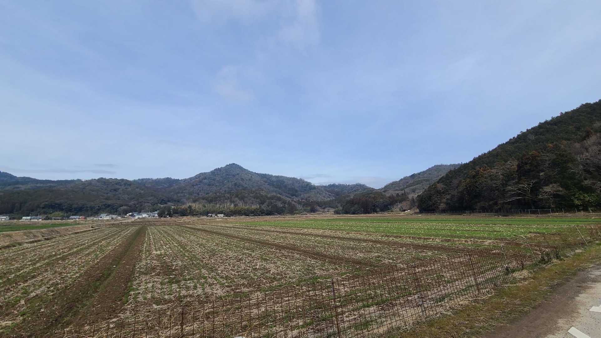 振り返り