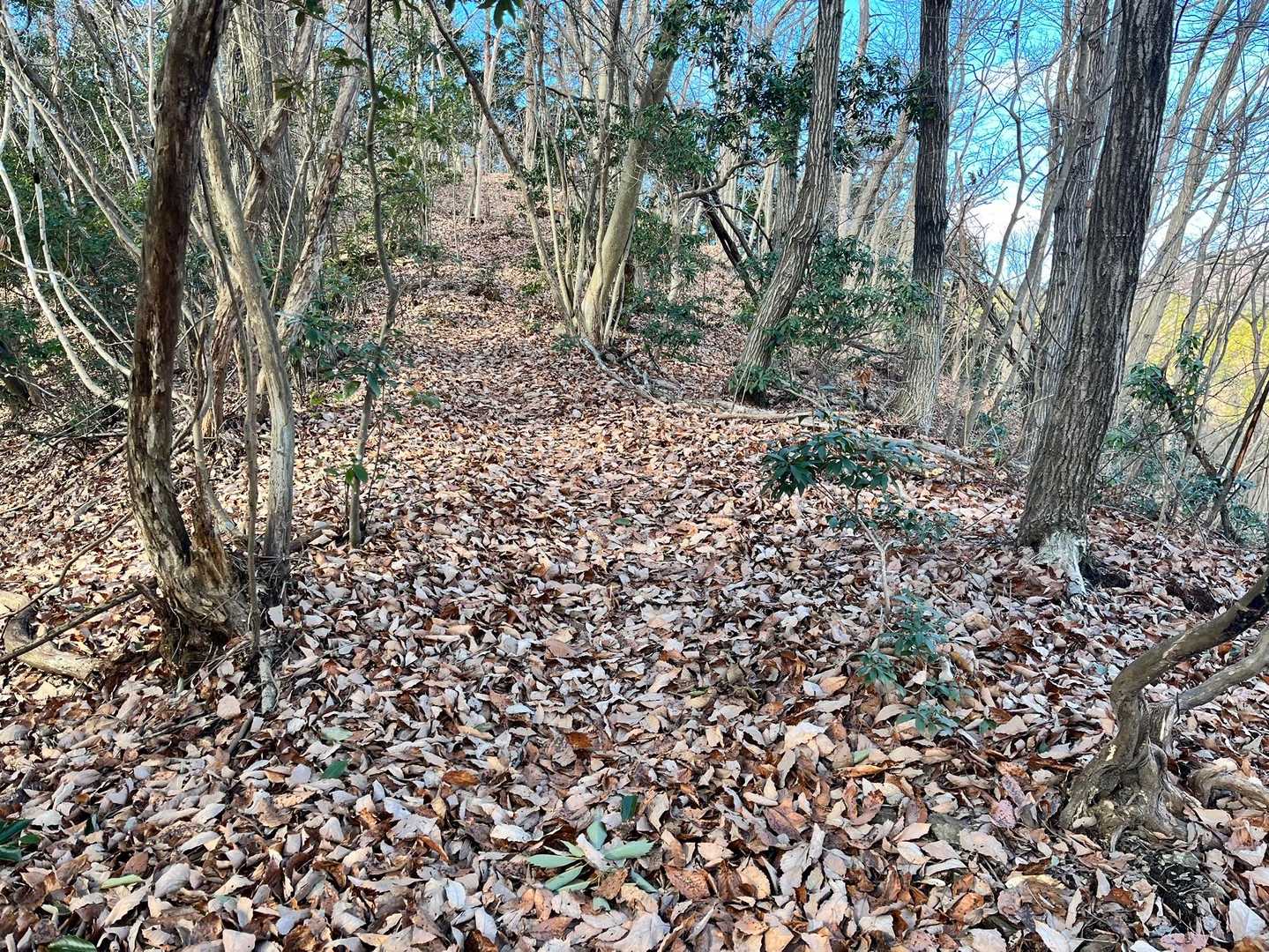 山道はなかなか急です。最初から急坂だと辛いですね。