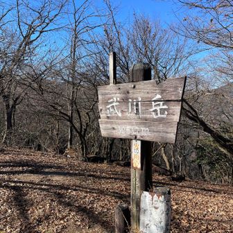 武川岳山頂到着。眺望はないです