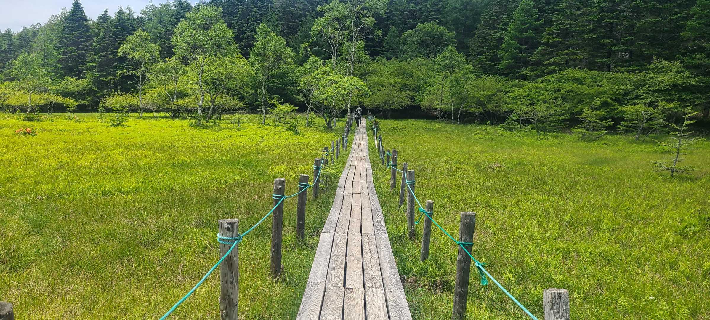 ゴンドラ山頂駅-入笠山-大阿原湿原 往復コースの写真