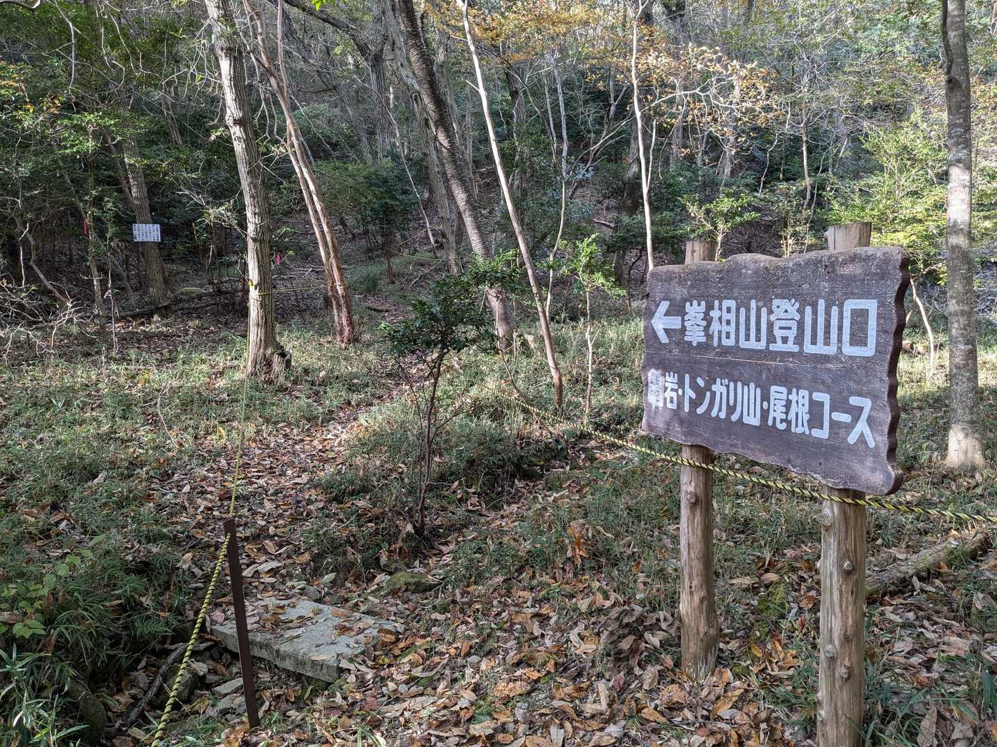 登山口に入り、先ずはとんがり山へ。