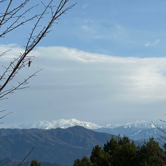 大文殊からの白山
今日は朝日が右手から当たって
輝いてます