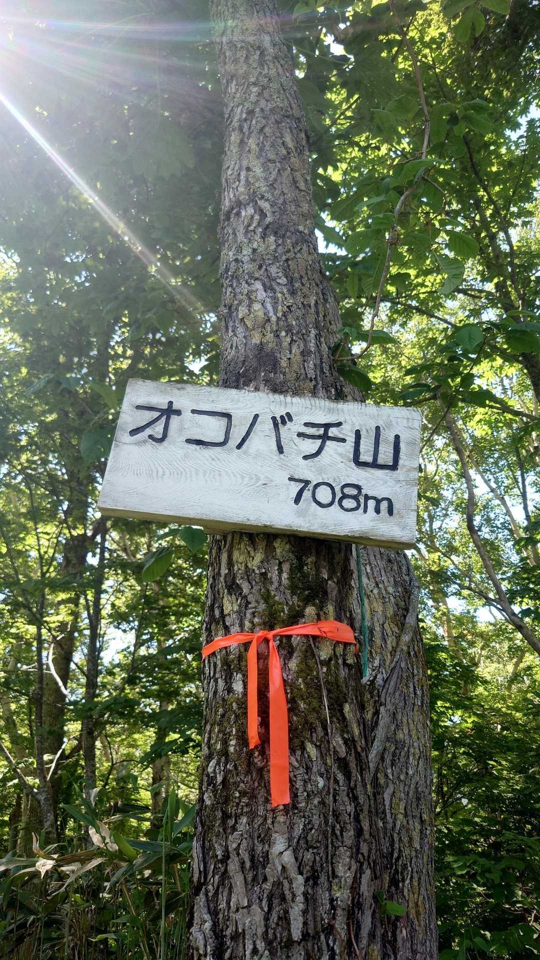 だぁれも居ない（笑）