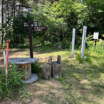小泉山に到着。
地元の人に愛されている里山だけあって、火とぼし行事もあり、体験の森と表示も。
散歩に来られる人もいたり、日頃から利用されている山だなと感じた。

この山には花の種類が多いと聞き、グルリと歩いてみることにした。