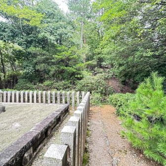 ここから山頂へ