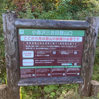 8時半くらいに駐車場に到着。パンパンでした。トイレあります。