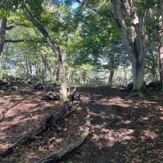 倉戸山の山頂に到着。誰も居ません。