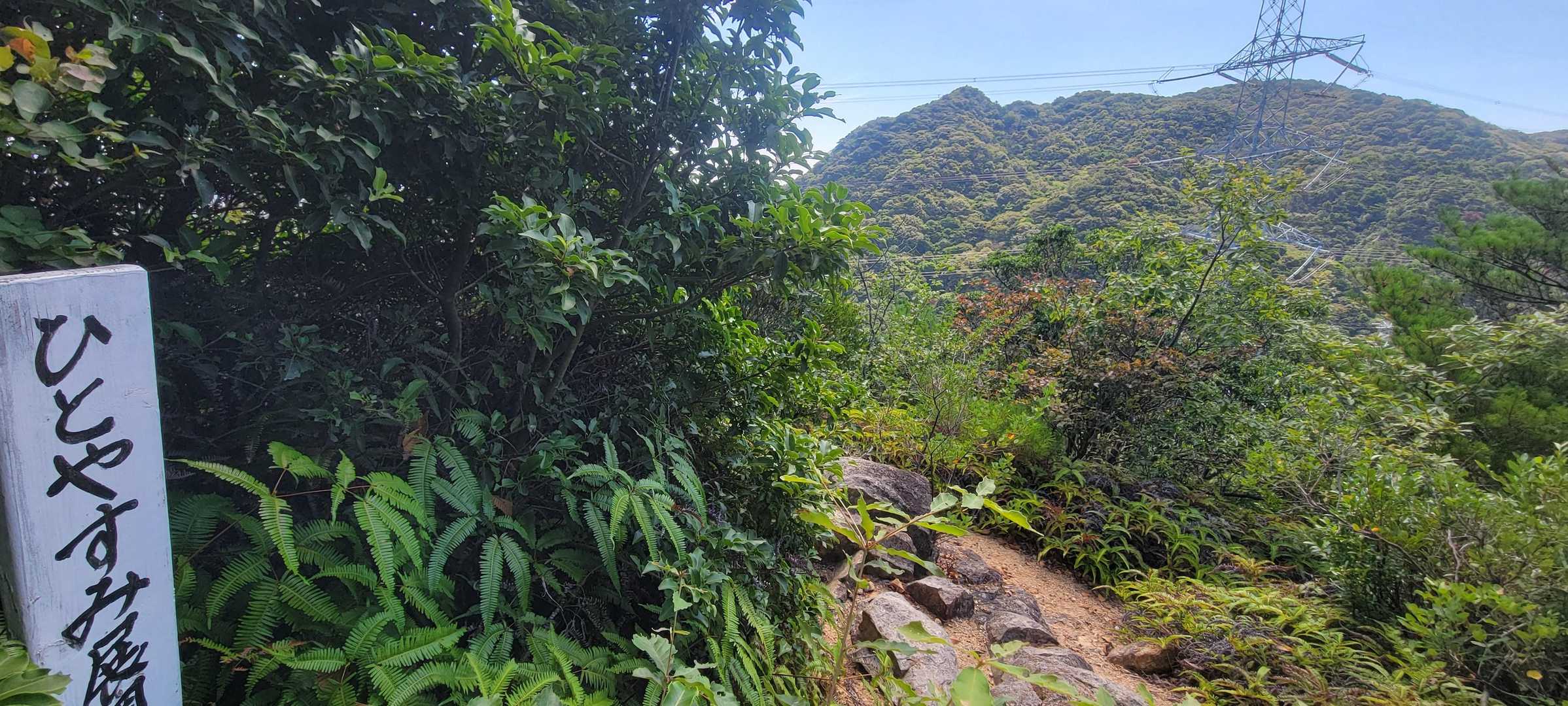 振り返ってひとやすみ