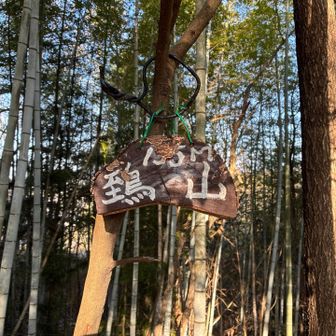 良い感じの里山の鵄山です
大昔戦がはじまった所らしいです！