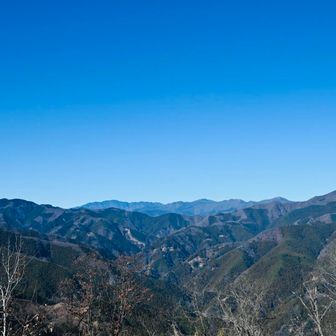 よく見えるよく見える