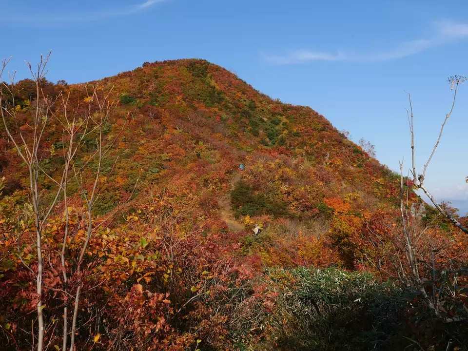 小倉山の写真