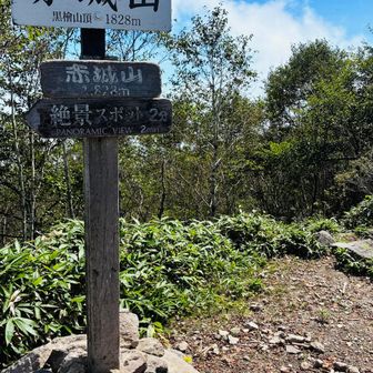 バナナは効いたのか？