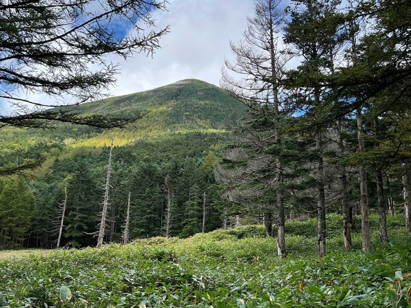 蓼科山⛰