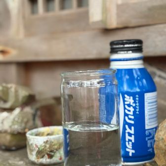 あれ〜神水昨日の夕方は並々まで入っていたのに〜12時間後に来たらこんなに減ってる💦