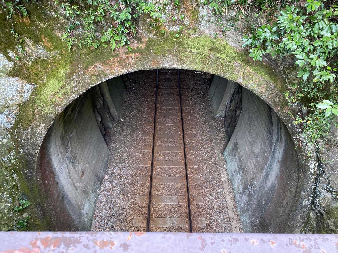 途中、単線の線路のすぐ上を歩く。少しだけ電車を待ったがタイミング合わず。