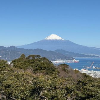 日本平と言えばこの景色‼️