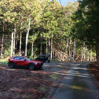 結局登山者には会わずでした。