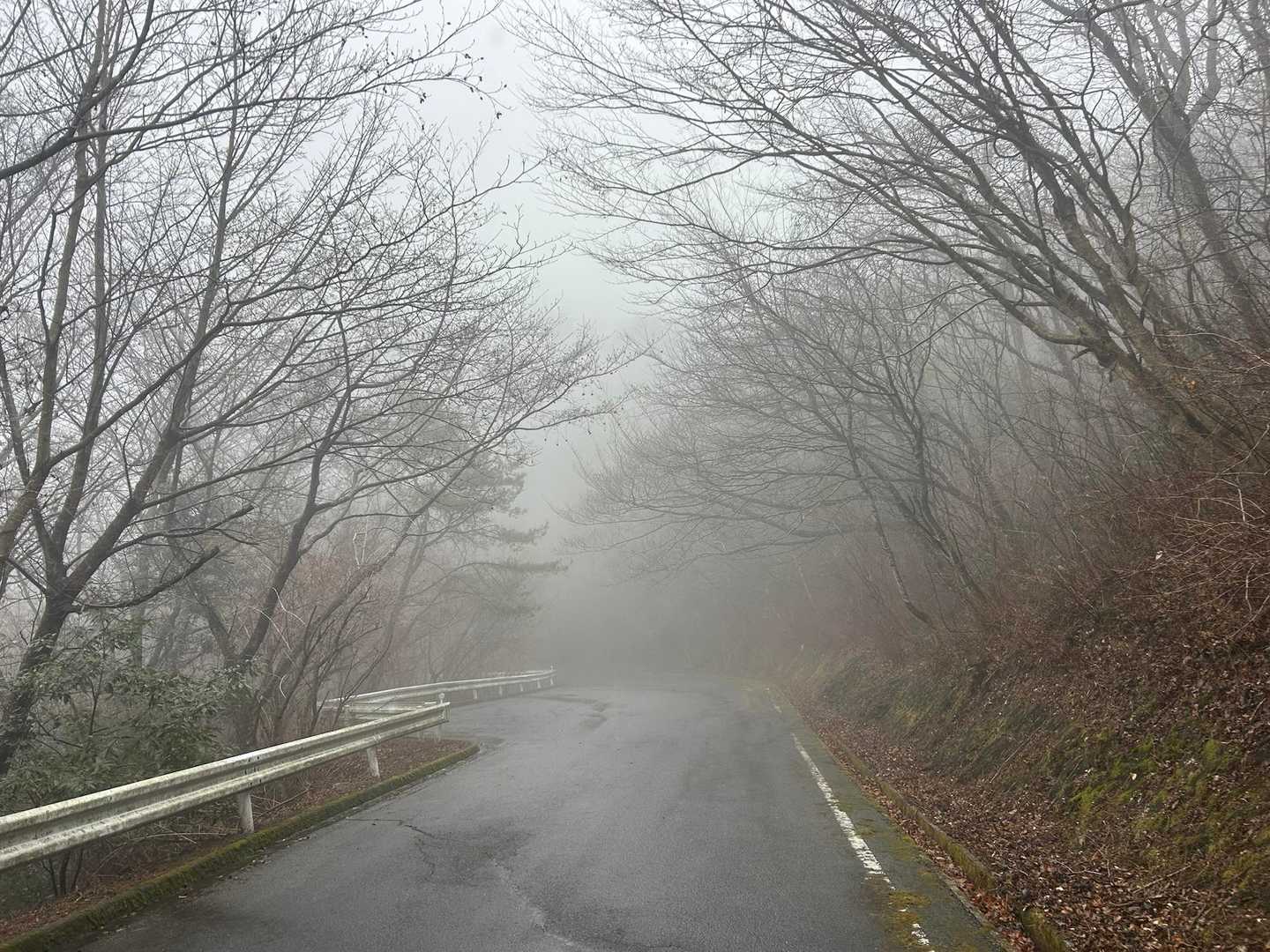 寂し気な雰囲気やし
車通らんかなー
と思ったら1台通過( ﾉﾟ∀ﾟ)ﾉ
お互いビックリ