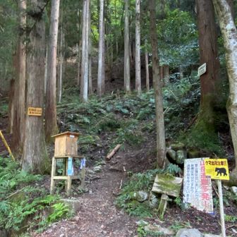 さぁー今から頑張るぞ💪
ヒルが大量発生する山と聞いていたけど、一切遭遇せずに済んでよかった