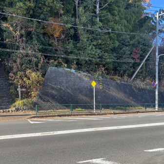 車の切れ目を狙って、アス道渡ります